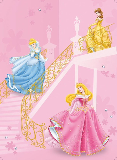 Cinderella-Belle-and-Aurora-disney-princess-18214274-1389-1893