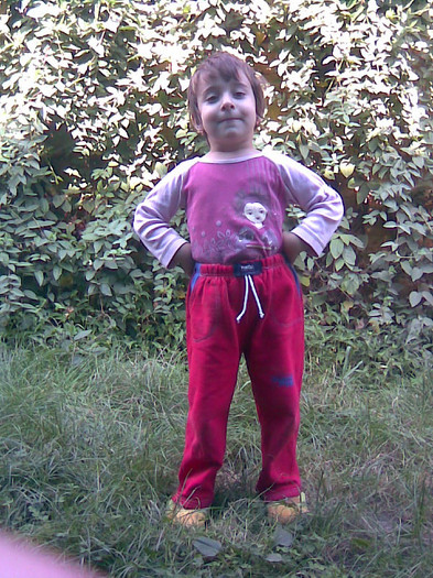 EU SUNT SEFA