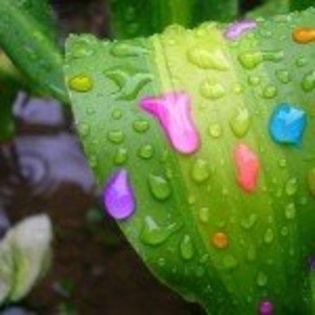 picaturi-de-ploaie-multicolore-150x150 - k curcubeu