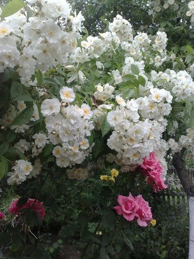 10062011 - Bobby James