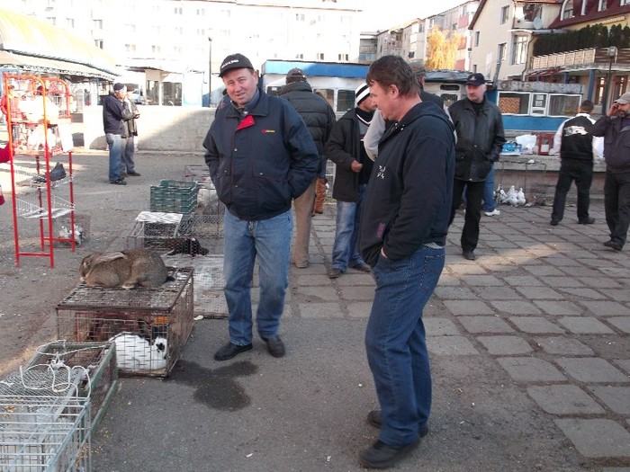 Doi frati si-un iepuroi Doi frati si-un iepuroi