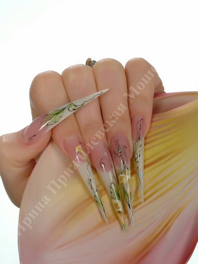 29457_126782377355388_100000708806380_186047_6663681_n