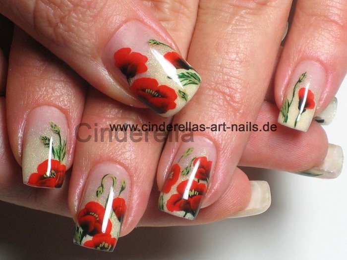 31523_433814906186_641826186_5986808_4336975_n