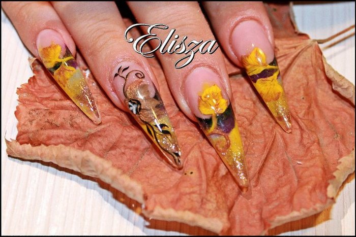 62923_1385696770382_1470901082_2421239_63082nb00_n