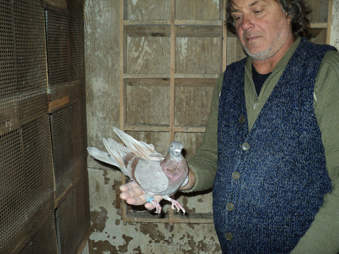 DSC01319 - ciungi de ploiesti 2011