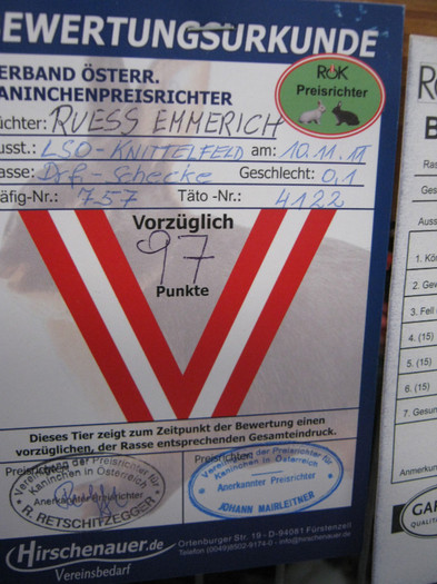 knittel-efer- 052