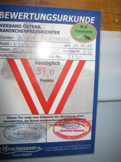 e a lui herman campionul austriei - E-54-nov --2011-2012-2013-2014