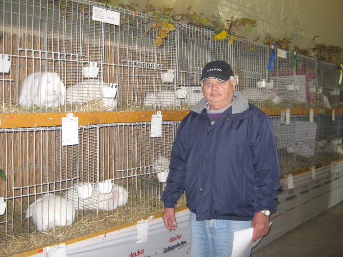 cu berbecii uriasi albi -CE-nitra - E-54-nov --2011-2012-2013-2014