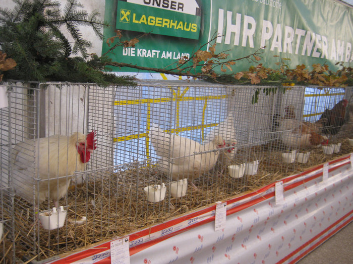 knittel-efer- 189