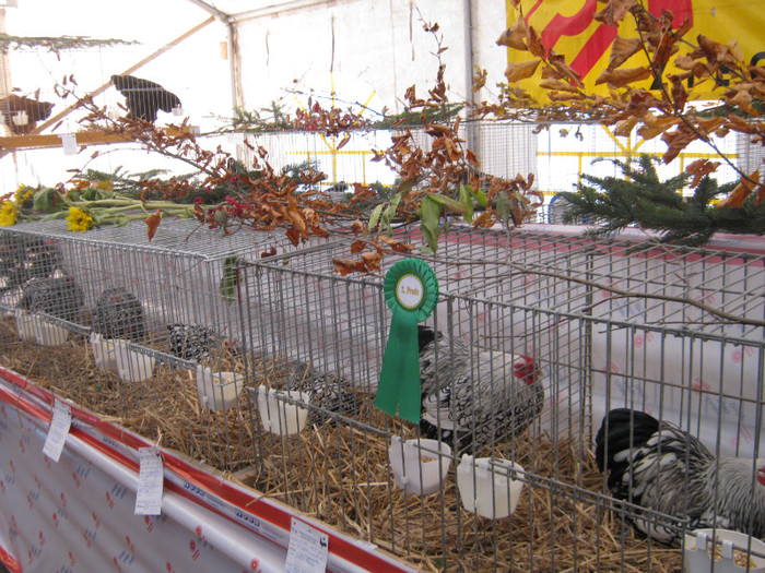 knittel-efer- 191 - E-54-nov --2011-2012-2013-2014