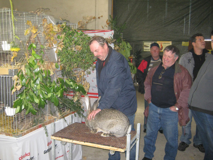 prezentarea uriasului in expo - Knoll Franz campionul european europa meister Knoll Franz