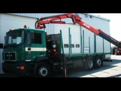 camion-man-cu-macara-pentru-transportat-busteni-1015150_big - graifare