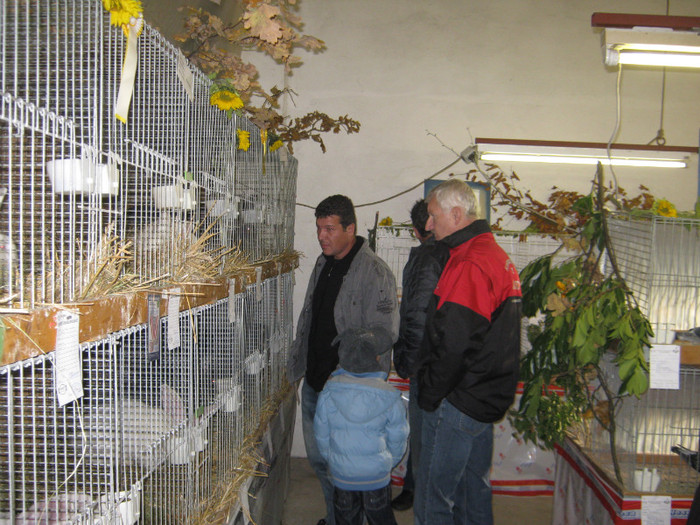 si alti campioni europeni sant la expo