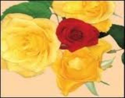 images (10) - poze flori