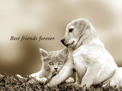 best-friends-forever - poze frumoase