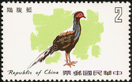 china - swinhoe-L swinhoii