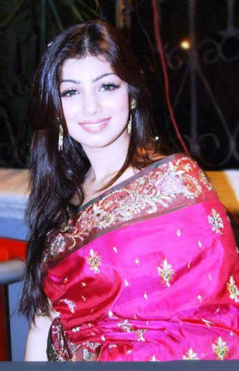 ayesha-takia-in-saree-5 - Ayesha Takia-in saree