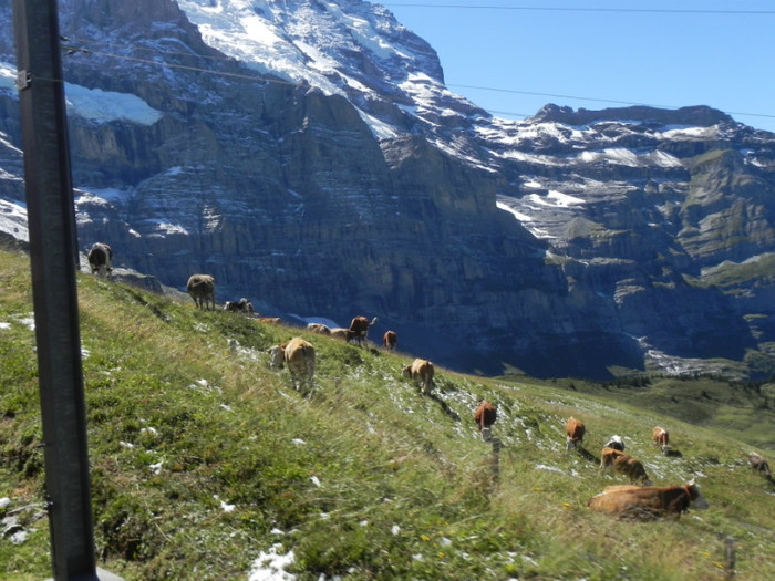 DSCN5403 - Jungfrau Top of Europe 3500m Excursie 2011