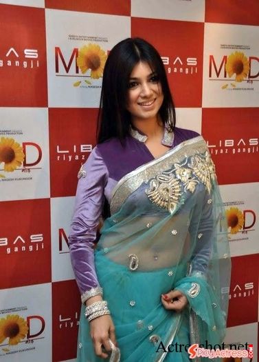 bollywood_actress_ayesha_takia_new_sexy_photos_in_transparent_saree_01 - Ayesha Takia-in saree