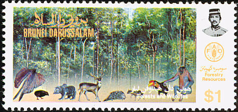 brunei - GREAT ARGUS-Argusianus