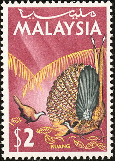 malaysia 2 - GREAT ARGUS-Argusianus