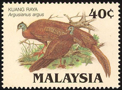 malaysia 3 - GREAT ARGUS-Argusianus