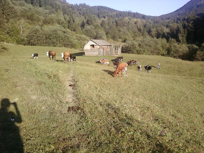 320027_251673871537779_100000855054626_681984_1631001498_n