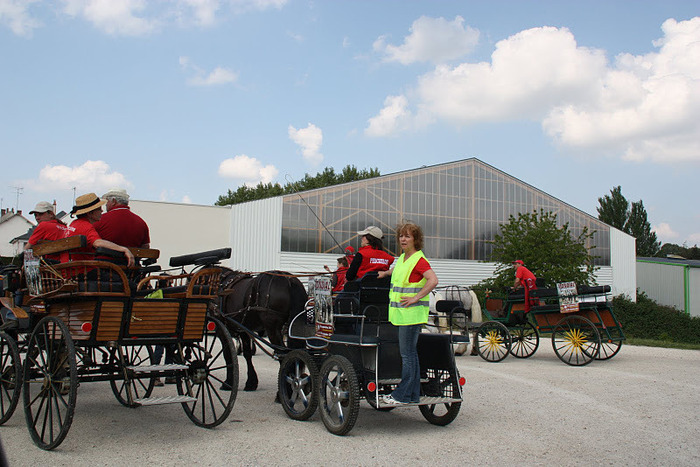 SIA 012 - concours percheron 2011