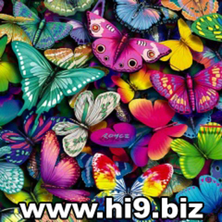 avatare pentru fete fluturi - poze colorate