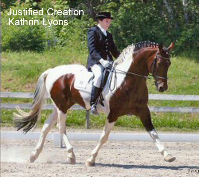 Justified_Creation_kathrin_Lyons - american saddlebred horse