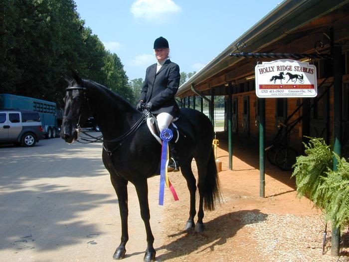 sbm132 - american saddlebred horse
