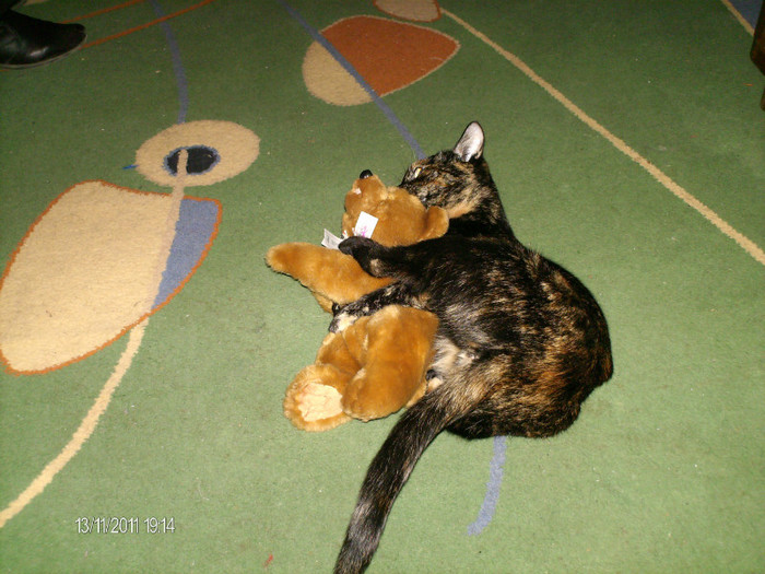 noiembrie_ 016 - mita _2011