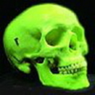 42514473_SSXBWGHRE - green