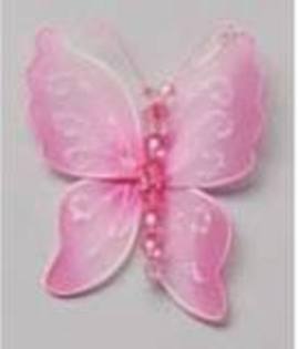 images (31) - fluturi