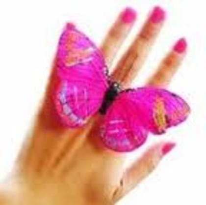 images (35) - fluturi