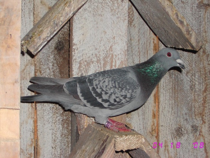 120634-07; loc 28 Jud.Fond 2009
