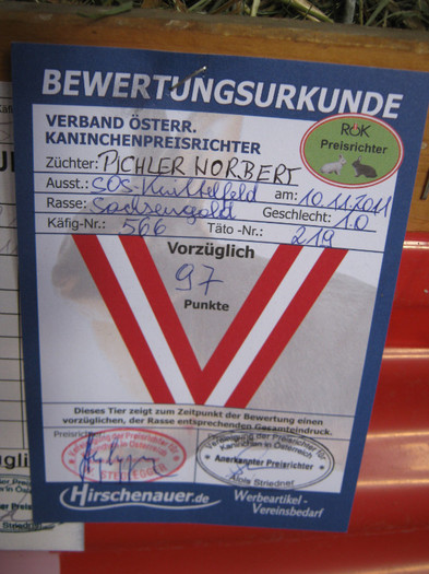 knittel-efer- 085