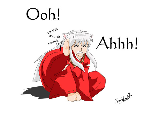 =)):))=)):)) - I - InuYasha Funny