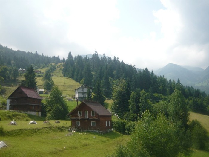 P1060139 - z calatorii-maramures 2011