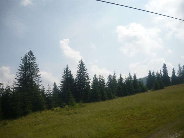 P1060175