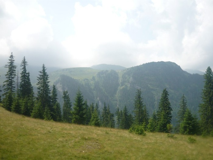 P1060178