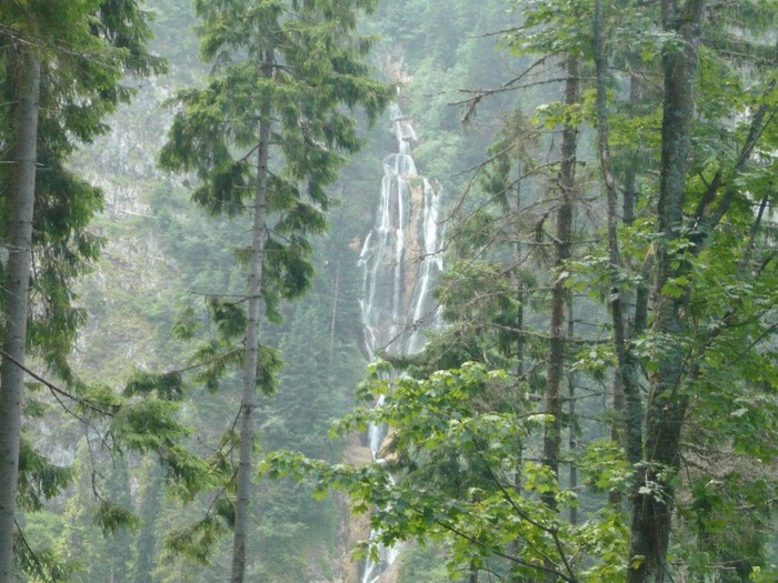 P1060205