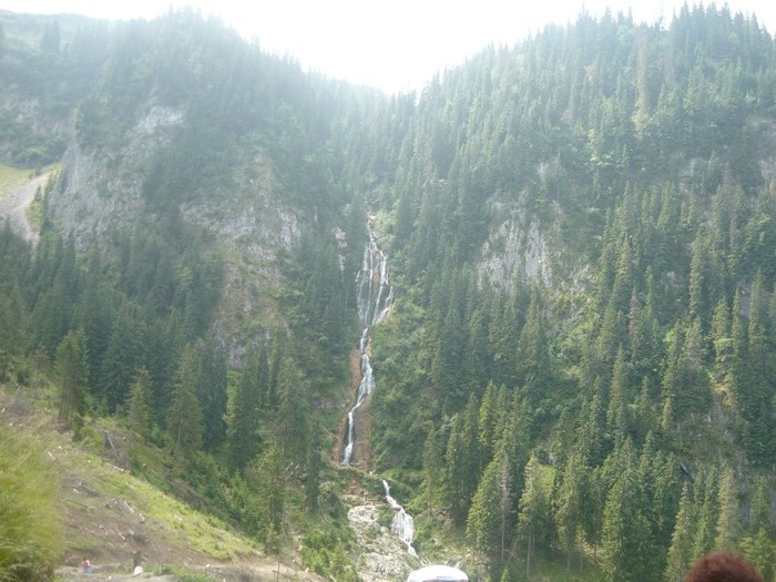 P1060206