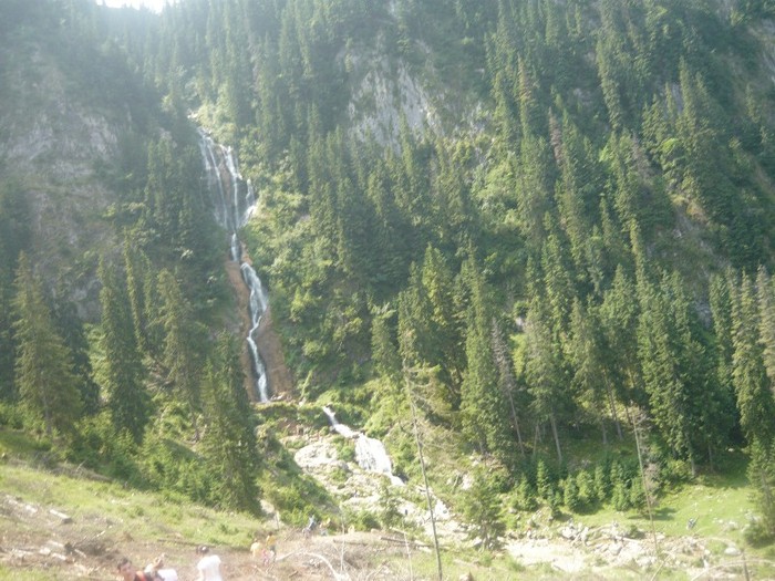 P1060212