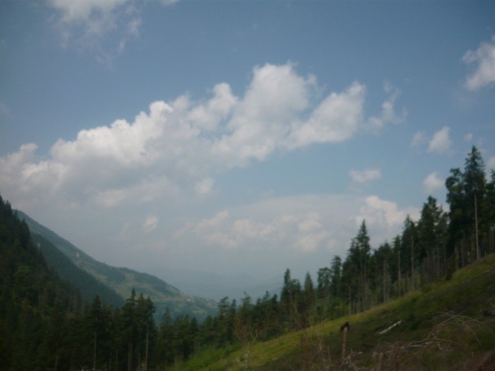 P1060215