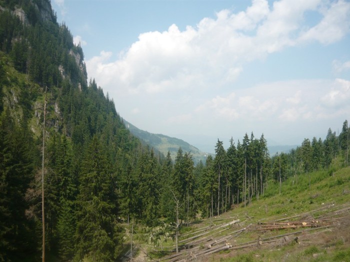 P1060220