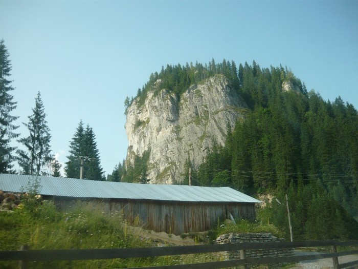 P1060299