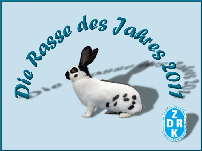 rasse2011-rasa anului 2011 - citeva poze