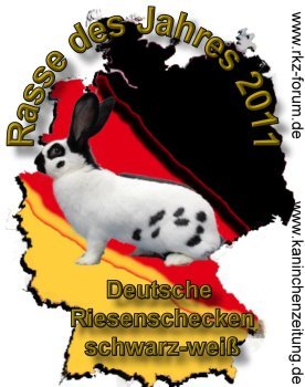 wappen - 4atentie cind cumparati iepuri
