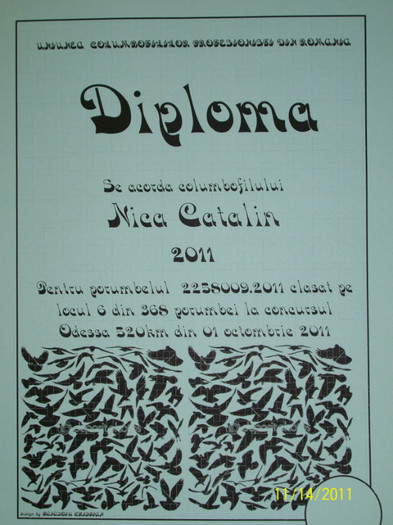 diploma 2258009 - 8 DE VANZARE